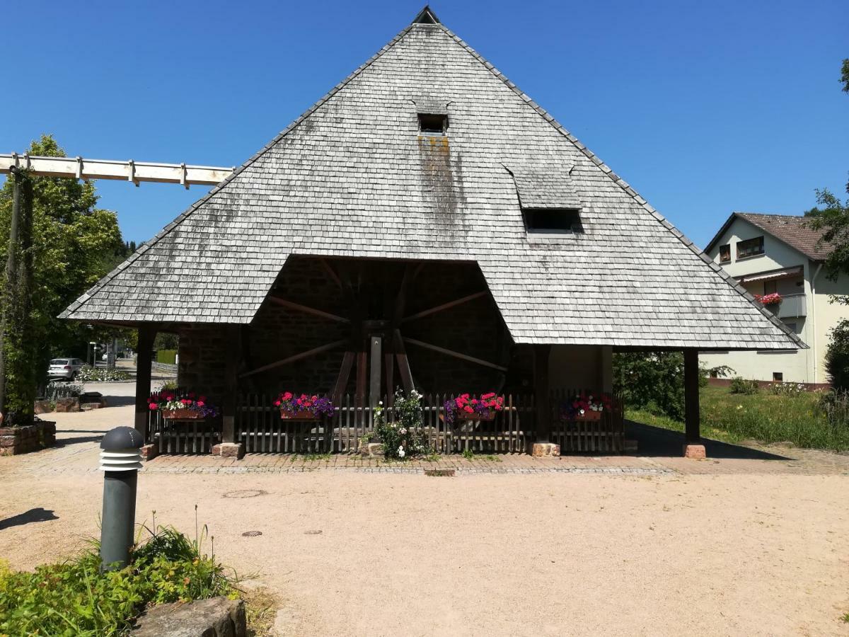 Am Sommerberg Unterkirnach المظهر الخارجي الصورة