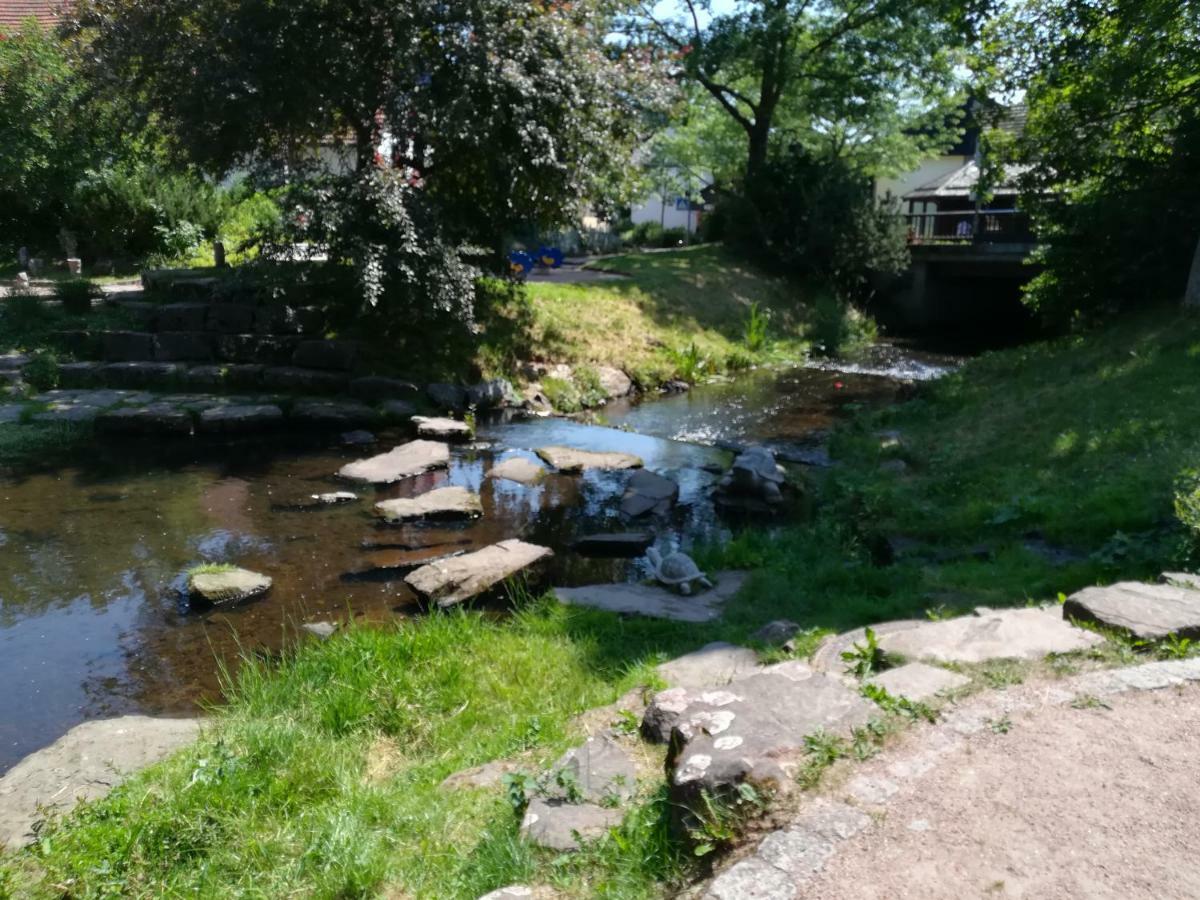 Am Sommerberg Unterkirnach المظهر الخارجي الصورة